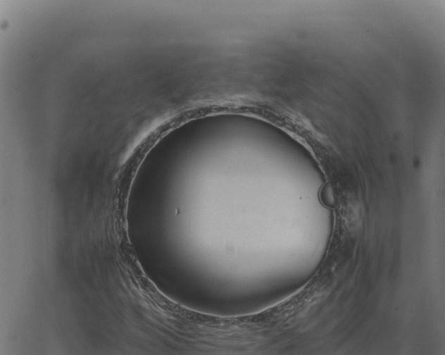 X0000062851256200601201654