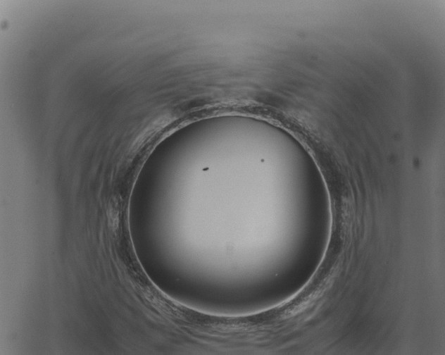 X0000062851257200601201654