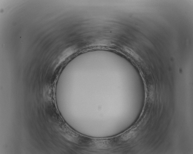 X0000062851258200601201654