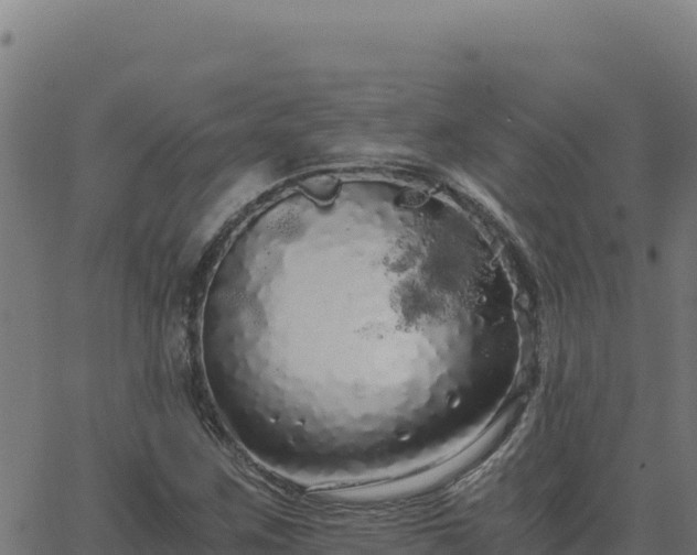 X0000062851259200601201654