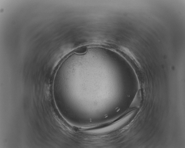 X0000062851260200601201654