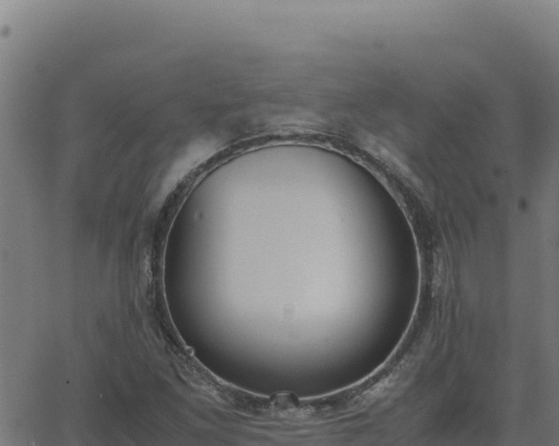 X0000062851261200601201654