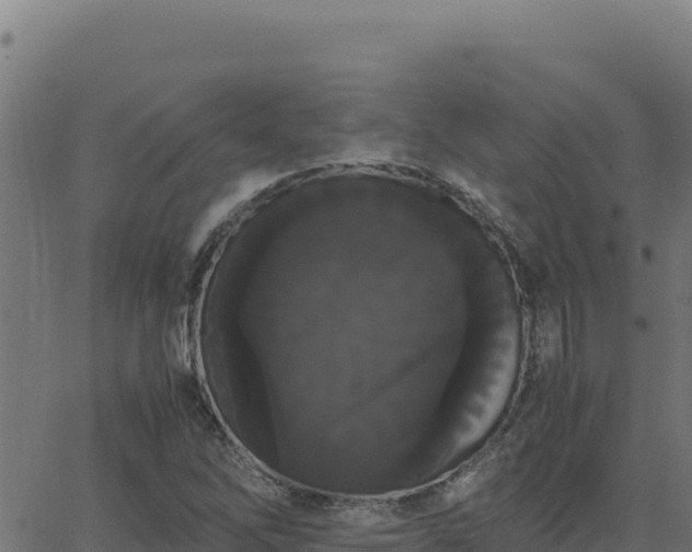 X0000062851262200601201654