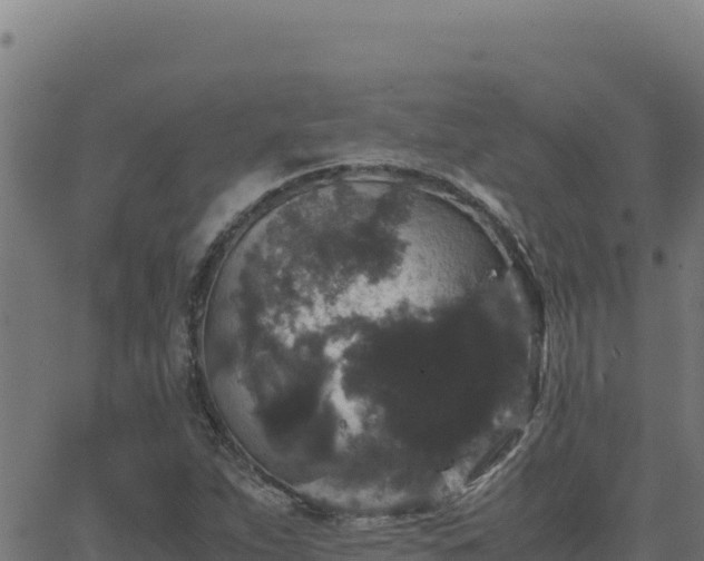 X0000062851263200601201654