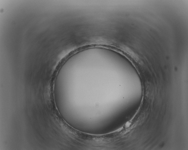 X0000062851264200601201654