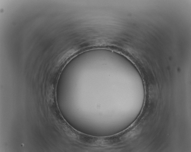 X0000062851265200601201654