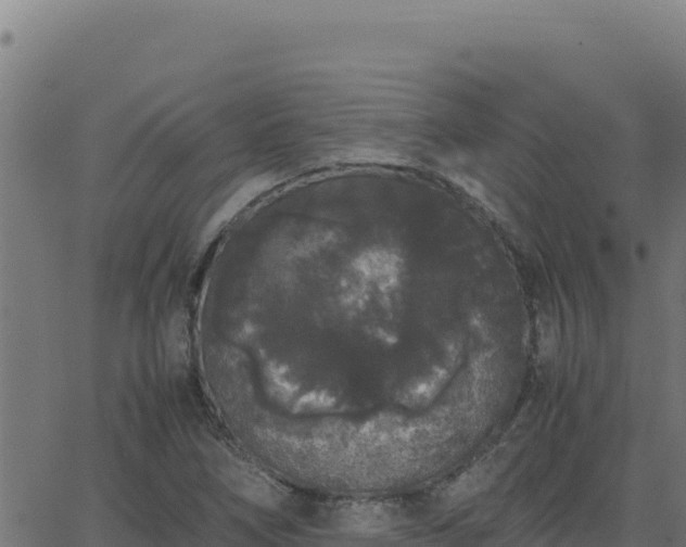 X0000062851266200601201654