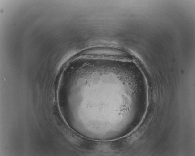 X0000062851267200601201654