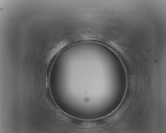 X0000062851269200601201654