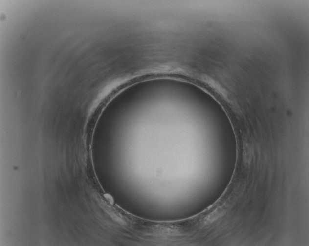 X0000062851270200601201654