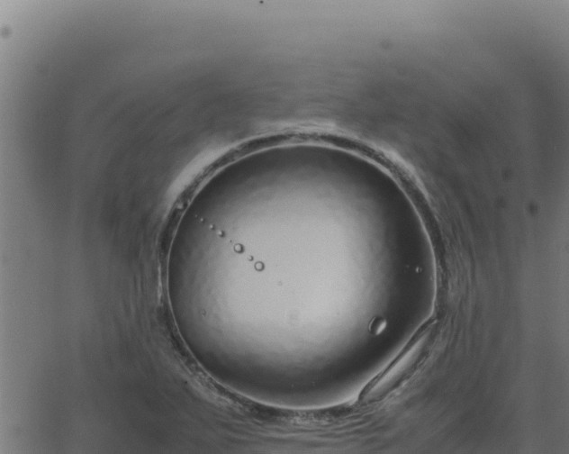 X0000062851271200601201654