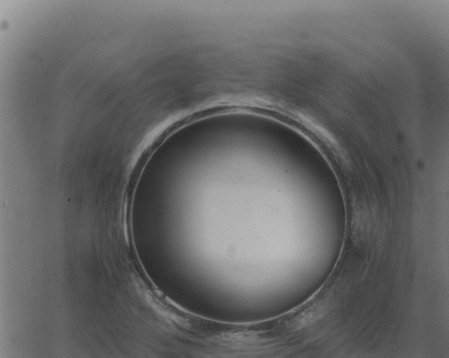 X0000062851272200601201654