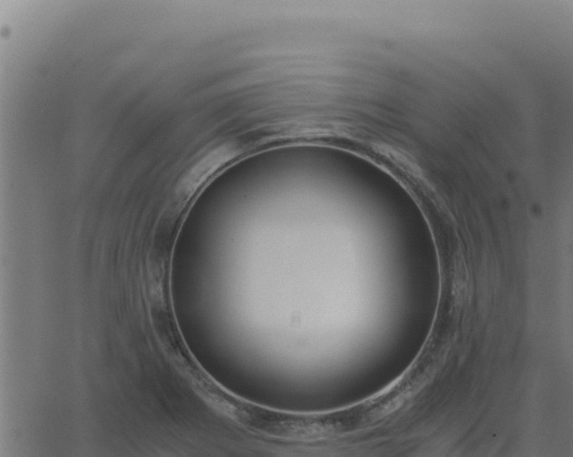 X0000062851273200601201654