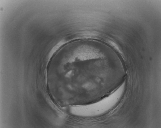 X0000062851275200601201654