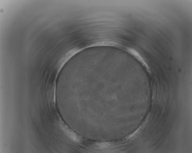 X0000062851276200601201654