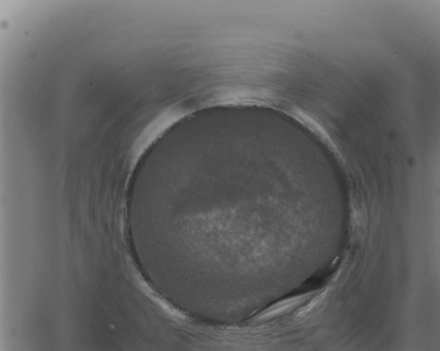 X0000062851277200601201654