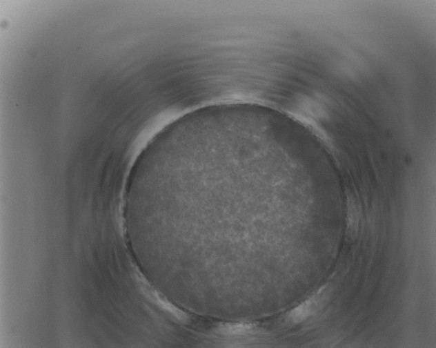 X0000062851278200601201654