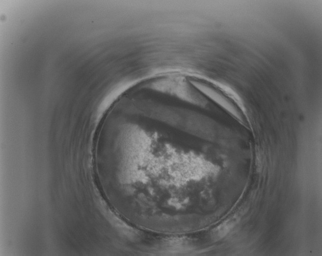 X0000062851279200601201654