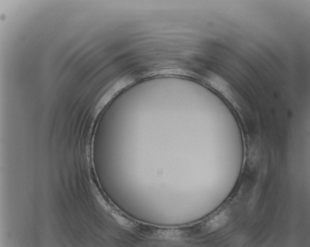 X0000062851282200601201654