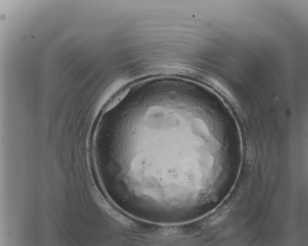 X0000062851283200601201654