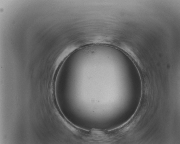 X0000062851285200601201654