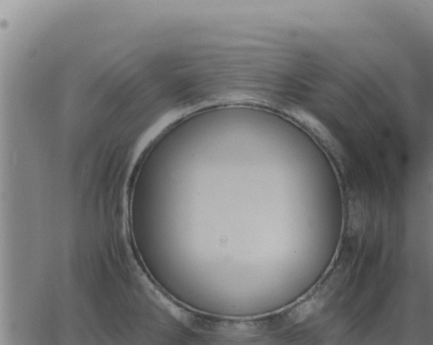 X0000062851286200601201654