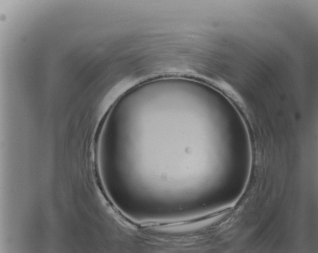 X0000062851287200601201654