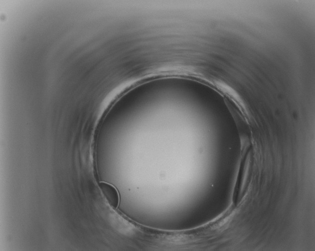 X0000062851288200601201654