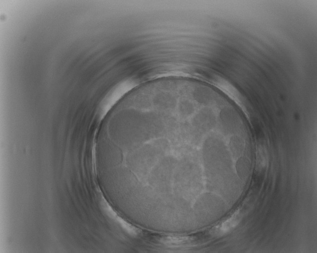 X0000062851290200601201654