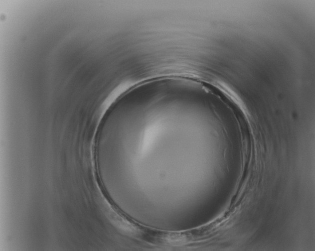 X0000062851291200601201654