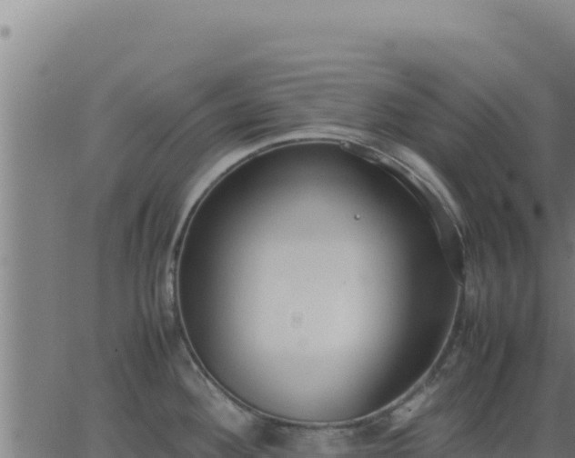 X0000062851292200601201654