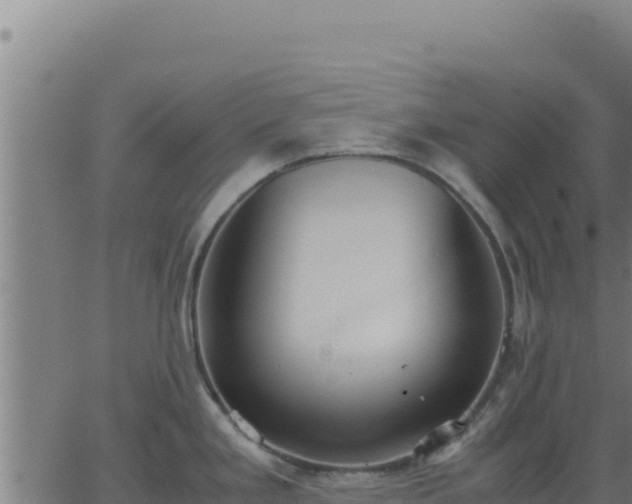 X0000062851293200601201654