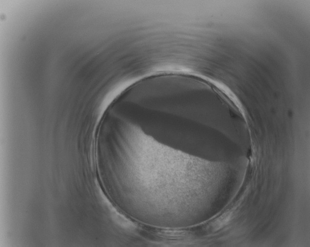 X0000062851295200601201654