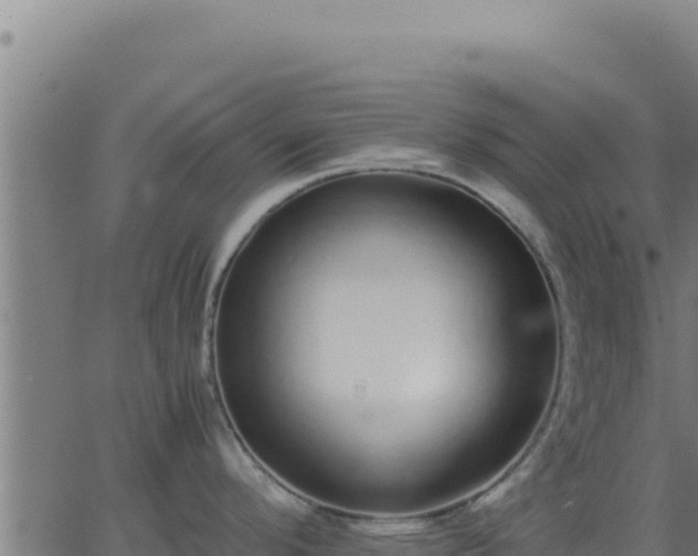 X0000062851296200601201654