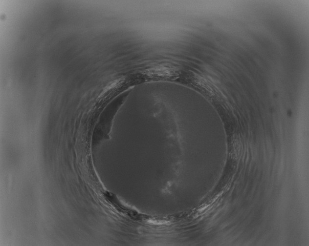 X0000062851297200601201653