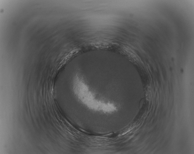 X0000062851298200601201653