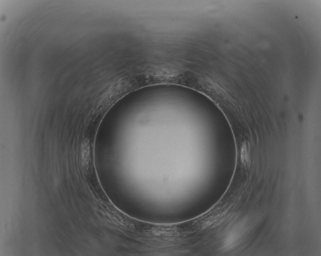 X0000062851299200601201653