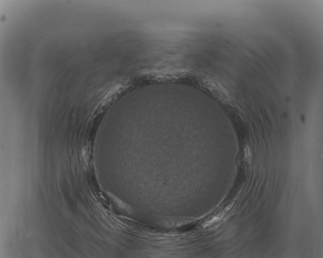 X0000062851300200601201653