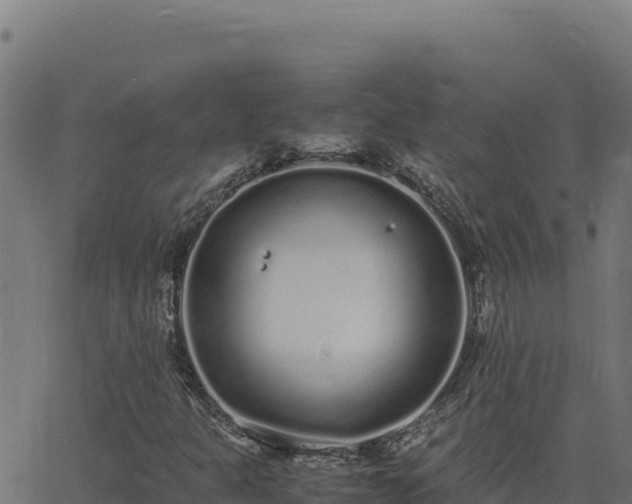 X0000062851301200601201653