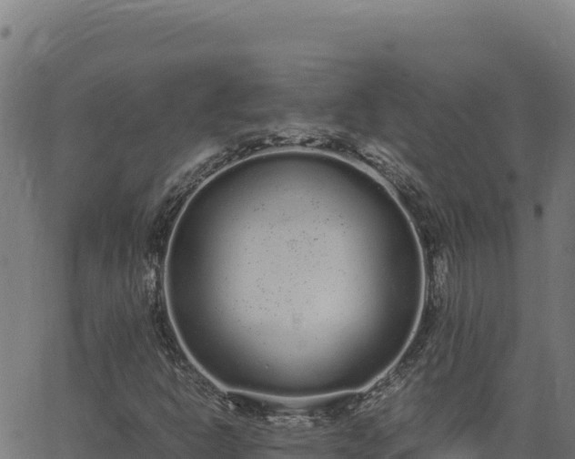 X0000062851302200601201653