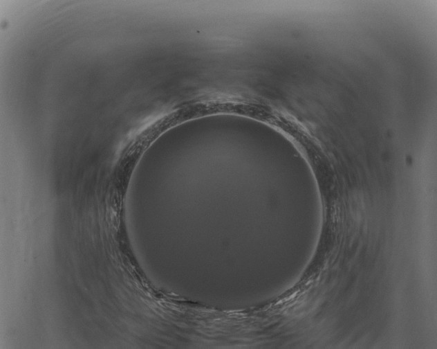 X0000062851303200601201653