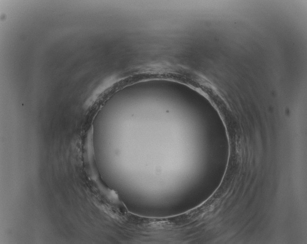 X0000062851304200601201653