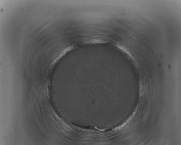 X0000062851305200601201653