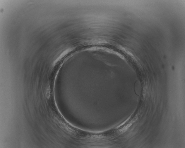 X0000062851306200601201653