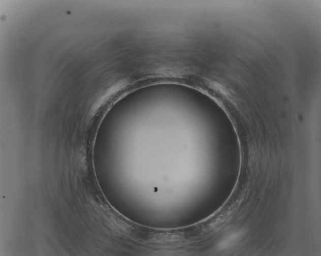 X0000062851307200601201653