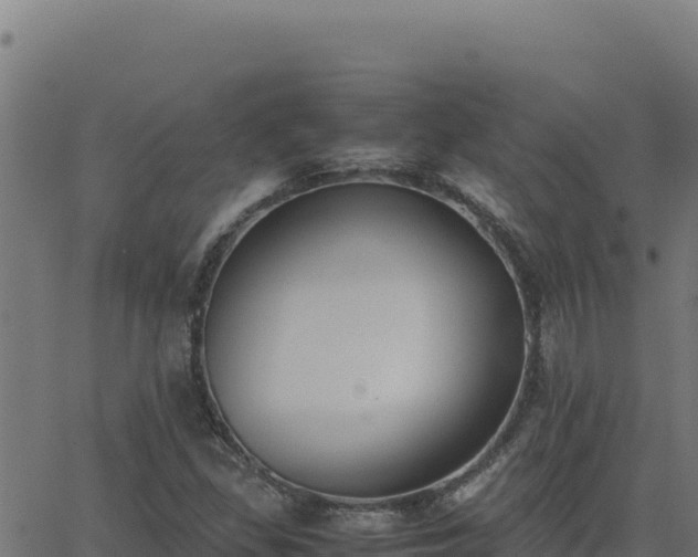 X0000062851309200601201653