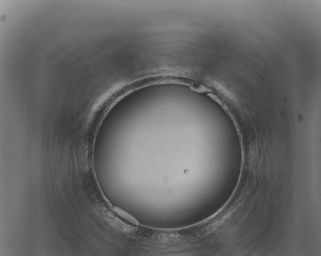 X0000062851310200601201653