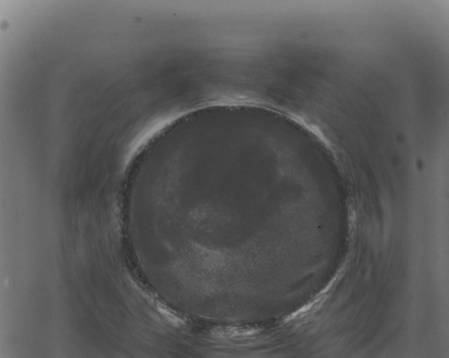 X0000062851311200601201653