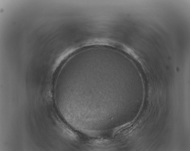 X0000062851312200601201653