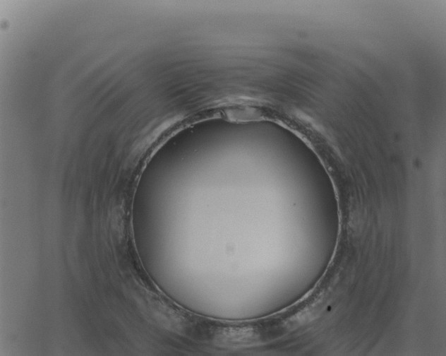 X0000062851313200601201653